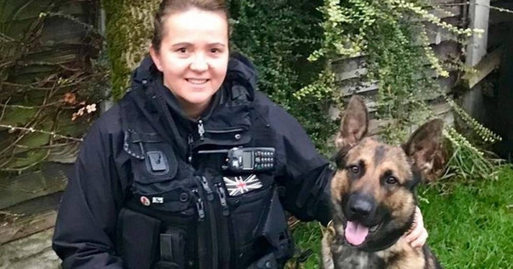 Thug knocks out policewoman and beats dog with plank in coronavirus lockdown rage - dailystar.co.uk - Britain