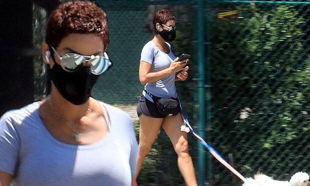 Eddie Murphy - Nicole Murphy - Nicole Murphy flaunts toned physique in t-shirt and shorts as she wears face mask to walk dogs in LA - dailymail.co.uk - Los Angeles