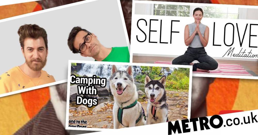 Heartwarming YouTube channels to brighten up your coronavirus lockdown from ASMR and yoga to adorable pups - metro.co.uk