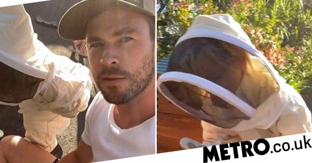 Chris Hemsworth - Elsa Pataky - Chris Hemsworth swaps teaching meditation for beekeeping with his kids in lockdown to harvest honey - metro.co.uk - India