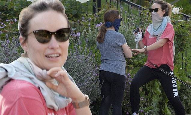 Olivia Wilde - Olivia Wilde forgets to observe social distancing recommendations as she chats with a neighbor - dailymail.co.uk - Usa - Los Angeles - city Los Angeles