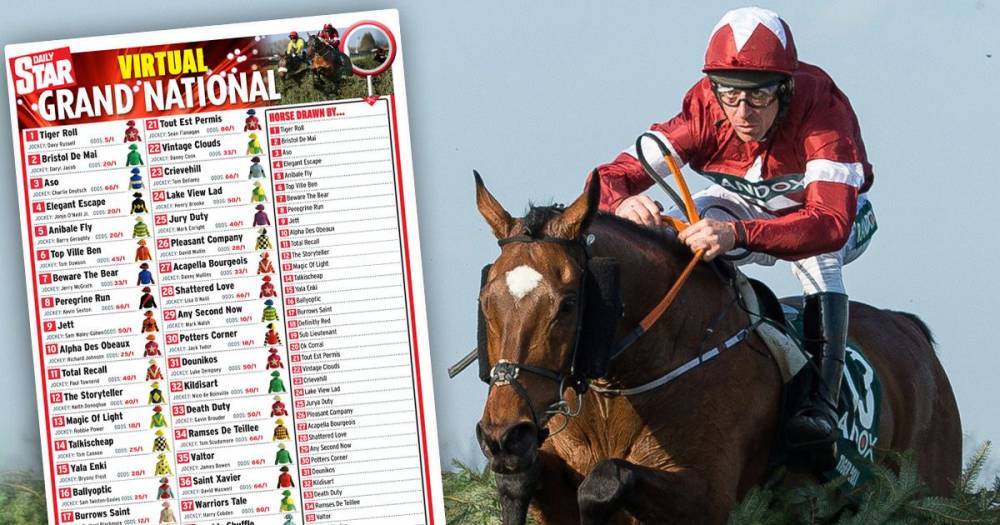Virtual Grand National 2020 FREE sweepstake kit: Downloadable tool for fun with family - dailystar.co.uk
