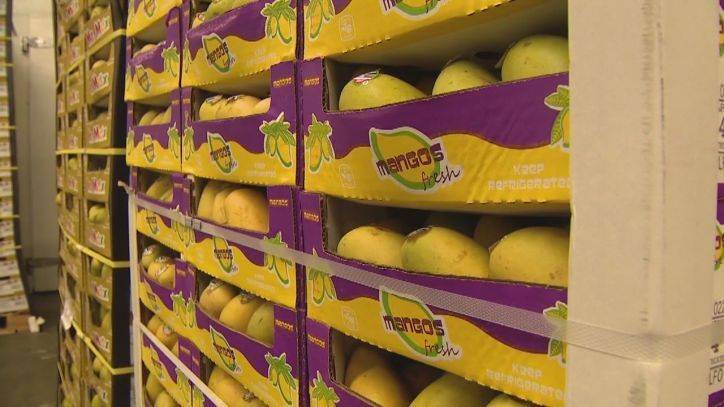 Produce wholesalers caught with excess goods after restaurants closed due to COVID-19 - fox29.com - Los Angeles - city Los Angeles