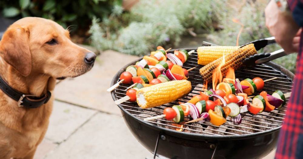 Can I (I) - Can I have a barbecue during this weekend's coronavirus lockdown mini heatwave? - dailystar.co.uk