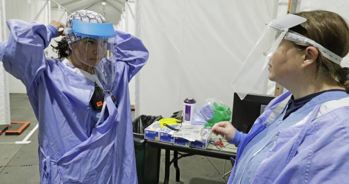 Theresa Tam - Coronavirus: Feds seeking medical student volunteers to help fight virus - globalnews.ca - Canada
