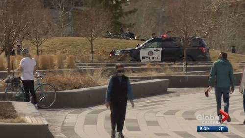 Reporting public health violations to 311 is encouraged: Calgary mayor - globalnews.ca