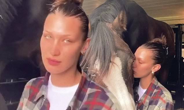 Bella Hadid - Bella Hadid gives her beloved horse a kiss as she isolates with family - dailymail.co.uk - state Pennsylvania