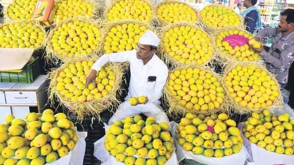 Even the king of fruits becomes a slave to the lockdown - livemint.com - city Mumbai