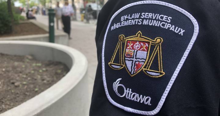 Jim Watson - Coronavirus: Fines for big gatherings, repeat offenders start Friday, Ottawa mayor warns - globalnews.ca - city Ottawa