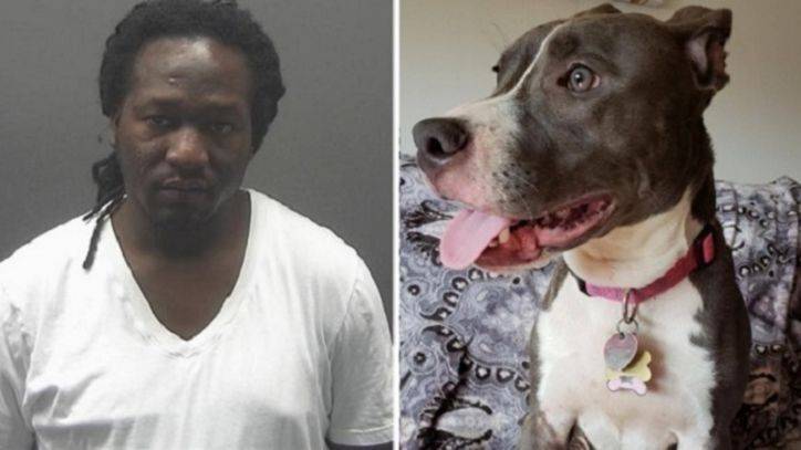 Aaron Davis - New Jersey man who left caged dog to drown convicted on cruelty count - fox29.com - state New Jersey - county Park - county Branch - county Highlands - county Long - county Monmouth