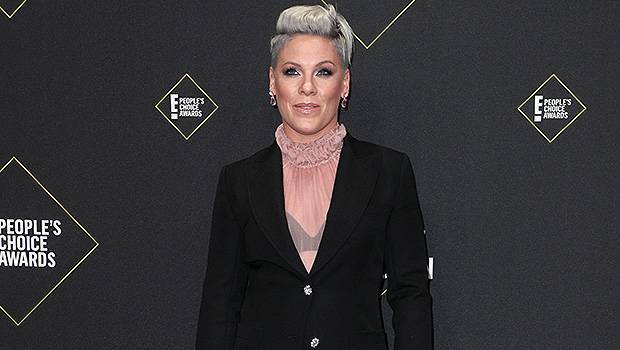 Carey Hart - Willow Sage - Pink, 40, Reveals She Tested Positive For Coronavirus: ‘The Illness Is Serious Real’ - hollywoodlife.com