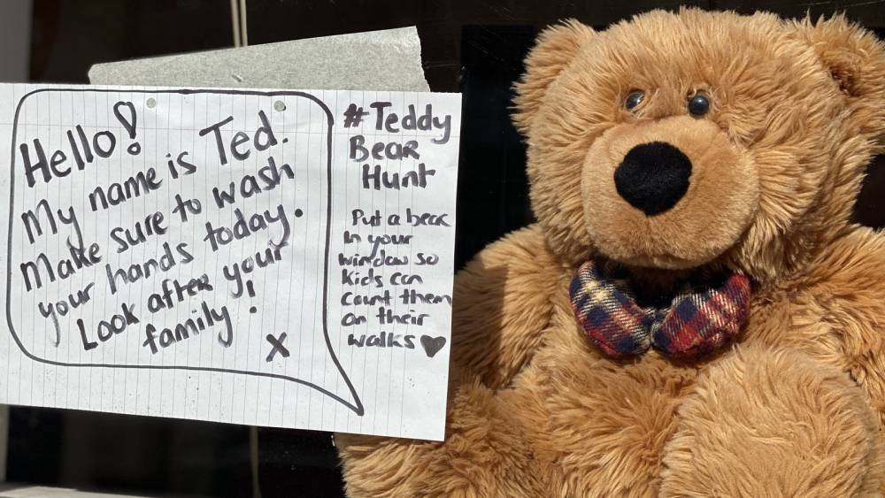 Teddies in the window create bear hunt for children - rte.ie - city Dublin