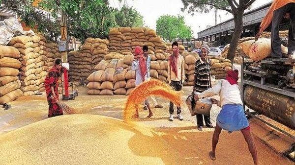 Panic buying could impact global food supply chain: World Food Programme - livemint.com