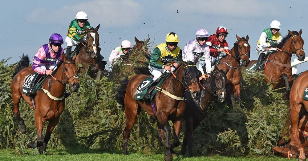 What channel is the Virtual Grand National on? Live stream, TV and 'starting gun' details - dailyrecord.co.uk