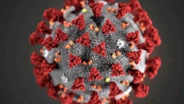 Haryana sees No new coronavirus cases reported until 6:00 PM - Apr 04 - livemint.com - India