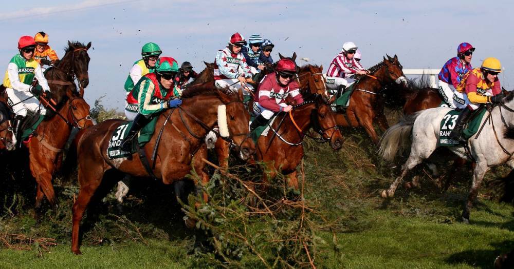 Virtual Grand National winner, placings and all the results - dailyrecord.co.uk
