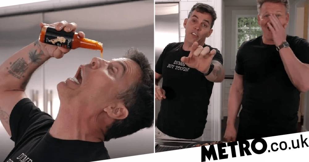 Gordon Ramsay - Gordon Ramsay meets his match as Steve-O freaks him out while cooking together - metro.co.uk