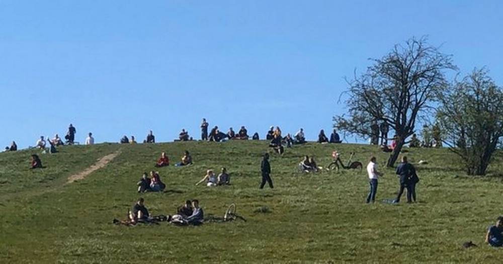 Neil Ferguson - Cov-idiots sunbathing in London park force it to close on police advice - dailystar.co.uk - city London - county Camden - county Hill