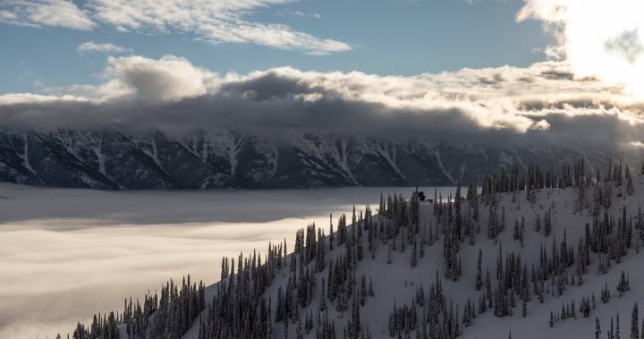 Andy Cohen - Alberta Coronavirus - Coronavirus: Stop sneaking into closed Fernie ski resort for hikes, manager pleads - globalnews.ca
