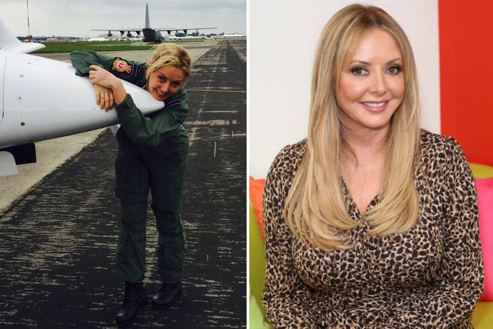 Carol Vorderman has donated her private plane to the NHS as it brings in crucial PPE during coronavirus pandemic - thesun.co.uk