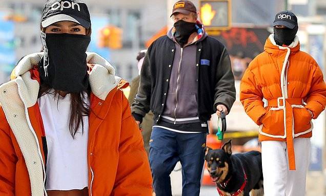 Emily Ratajkowski - Sebastian Bear Macclard - Emily Ratajkowski and Sebastian Bear-McClard cover-up with protective masks for a dog walk in NYC - dailymail.co.uk