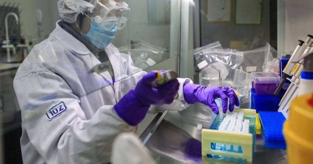 Government investigating conspiracy coronavirus started in China bioweapons lab - dailystar.co.uk - China - city Wuhan