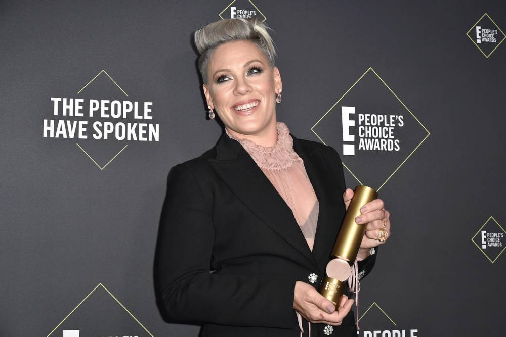 Alecia Beth Moore - Pink Donates $1 Million After Revealing She's Recovered From Coronavirus - tvguide.com