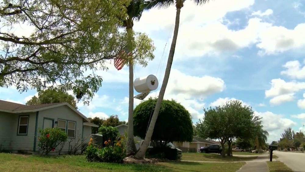 Florida man hangs giant roll of toilet paper in front yard to poke fun at coronavirus panic buying - clickorlando.com - state Florida - county Collier