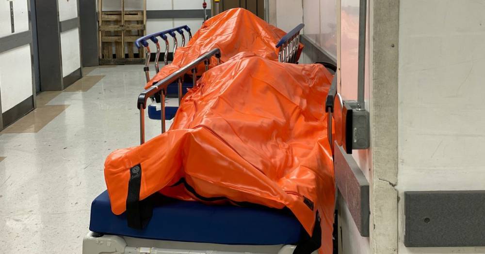 Chilling photos show body bags lining hallways of NYC hospital amid coronavirus crisis - mirror.co.uk - Usa - city New York