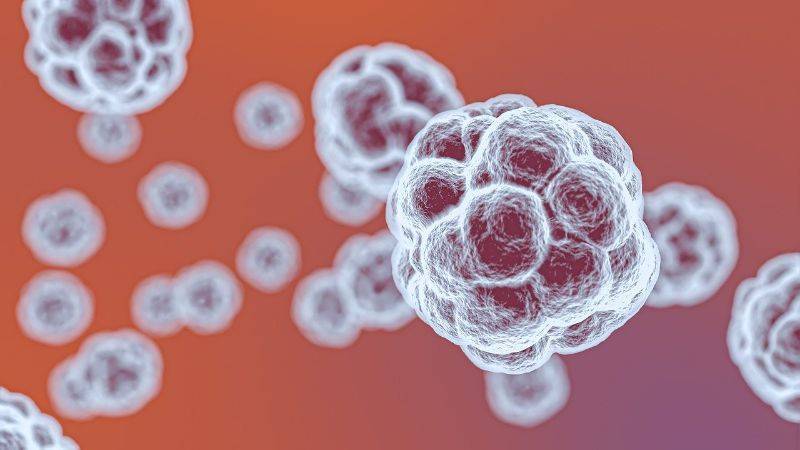 Study finds anti-parasitic drug could kill coronavirus in 48 hours - pharmaceutical-technology.com - Usa - Australia