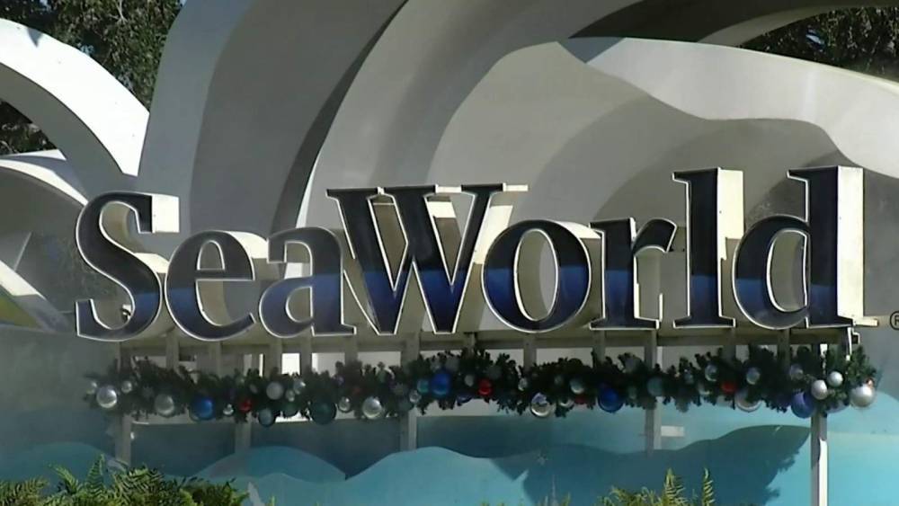 SeaWorld CEO resigns amid coronavirus furloughs - clickorlando.com