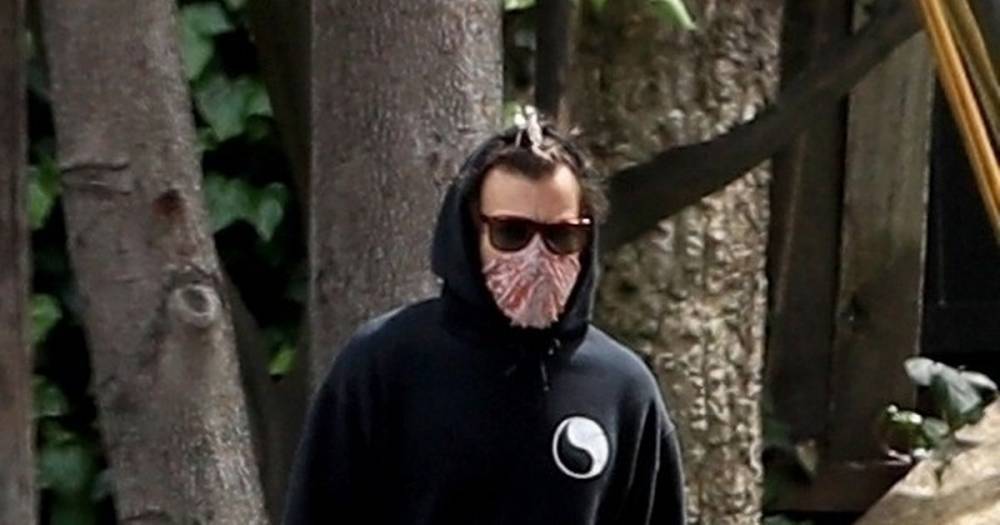 Harry Styles doesn't understand how masks work as he pops out for solo exercise - mirror.co.uk - Usa - Britain - state California