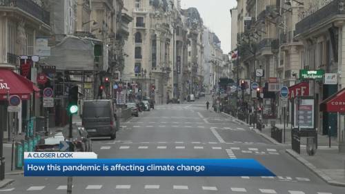 The positive environmental impact of COVID-19 - globalnews.ca - Canada