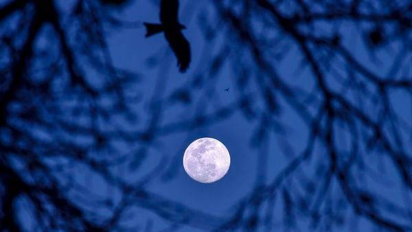 Supermoon will be visible from India on Wednesday evening - livemint.com - India - city Kolkata