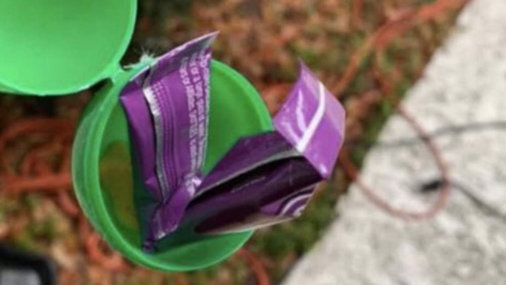 Rick Staly - Florida deputies want to know who’s putting porn-filled Easter eggs in mailboxes - clickorlando.com - state Florida - county Flagler - county Green