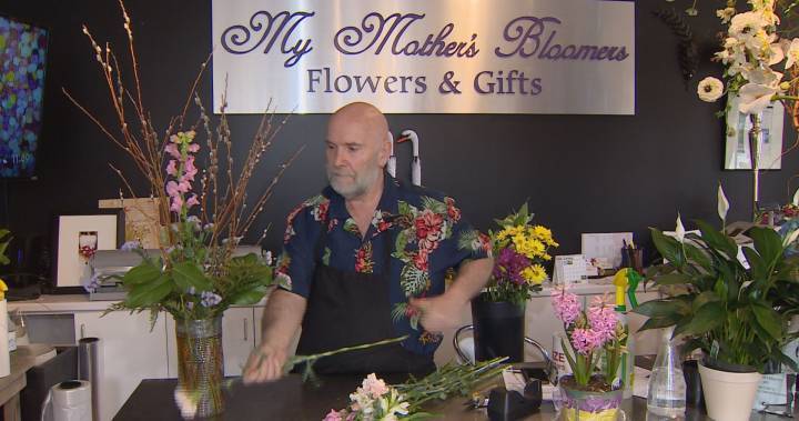 Maritime weddings cancelled amid COVID-19 pandemic impacts many, says N.S. florist - globalnews.ca - county Halifax