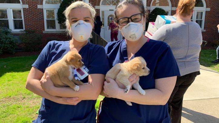 Providence Animal Center donates PPE and offers puppy love to local nursing home - fox29.com