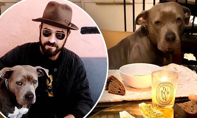 Jennifer Aniston - Justin Theroux - Justin Theroux prepares another elaborate candle-lit date night for his rescue pup Kuma - dailymail.co.uk