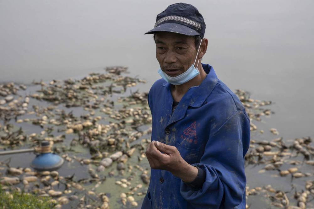 Wuhan farmers struggle as crops wither from travel limits - clickorlando.com - China - city Wuhan