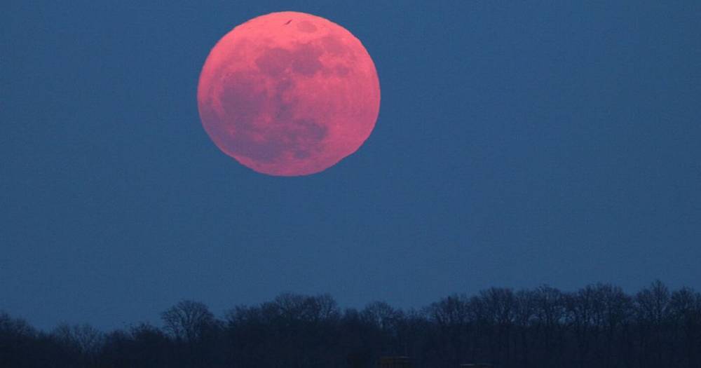 Horoscopes: What the pink supermoon has in store for your star sign - dailystar.co.uk