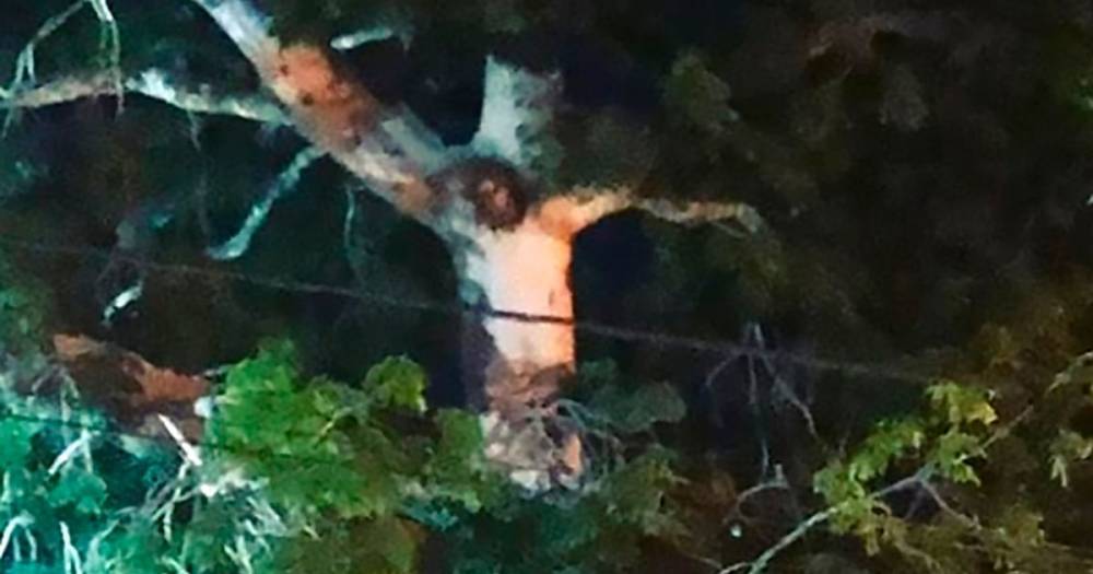 'Jesus' figure appears in tree days before Easter as crowds snub coronavirus lockdown - dailystar.co.uk - Colombia