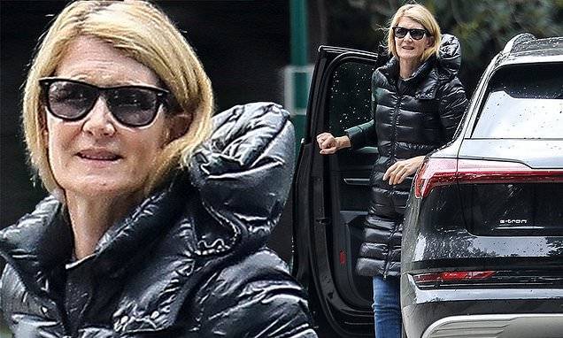 Laura Dern - Laura Dern wears thick padded coat and shades as she visits a friend across town during lockdown - dailymail.co.uk - city Santa Monica
