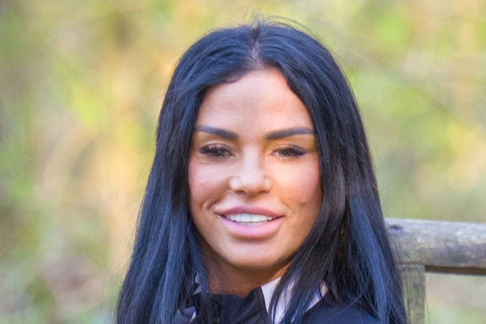 Katie Price - Katie Price is all smiles as she enjoys a walk with her dog Blade - thesun.co.uk
