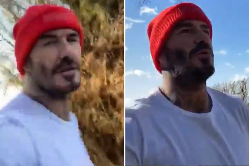 David Beckham - David Beckham jogs in country lanes near Cotswolds home as he says fans are ‘lucky’ to leave the house during lockdown - thesun.co.uk