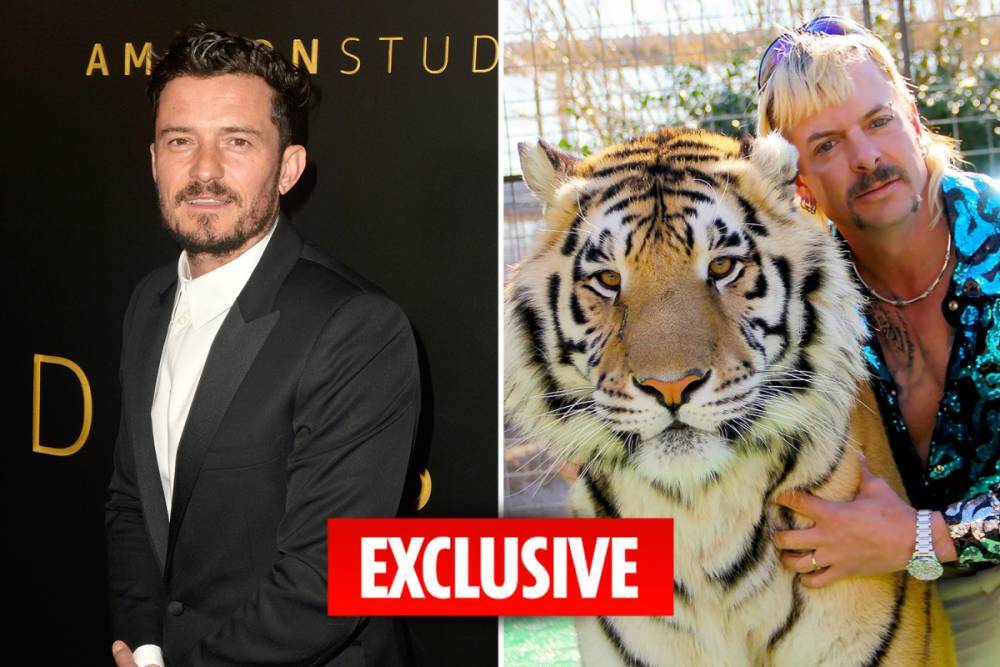 Orlando Bloom - Joe Exotic - Tiger King - Netflix’s Tiger King in talks for movie with Orlando Bloom to play eccentric zoo keeper Joe Exotic - thesun.co.uk - Usa - county King