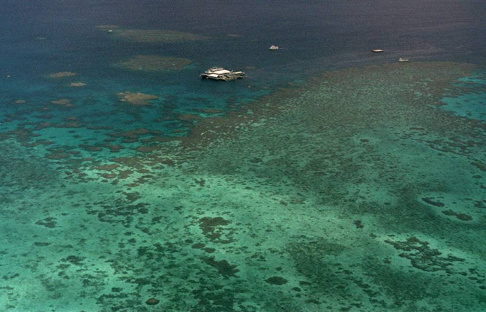 El Niño - Bleaching on Great Barrier Reef more widespread than ever - clickorlando.com - Australia - state Queensland