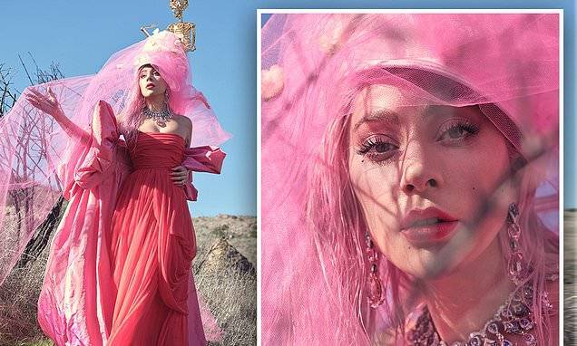 Michael Polansky - Lady Gaga - Lady Gaga reveals marriage and starting a family is her top priority - dailymail.co.uk