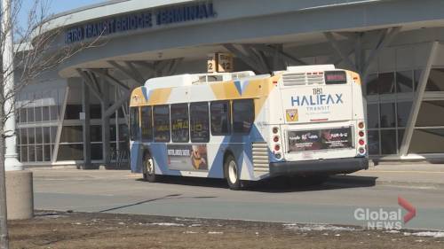 Halifax Transit driver tests positive for COVID-19 - globalnews.ca