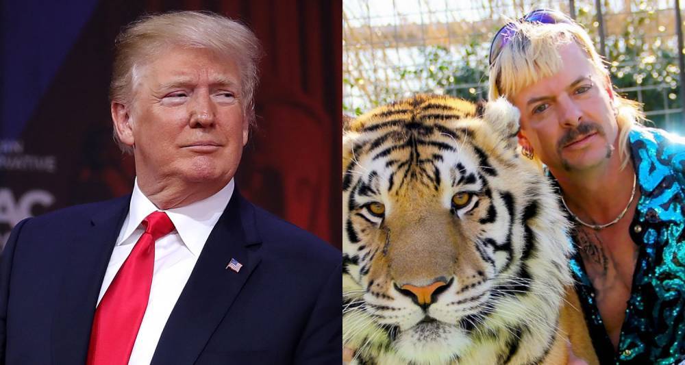 Donald Trump - Joe Exotic - Carole Baskin - Steven Nelson - President Trump Addresses Possibly Pardoning 'Tiger King' Star Joe Exotic - justjared.com - New York