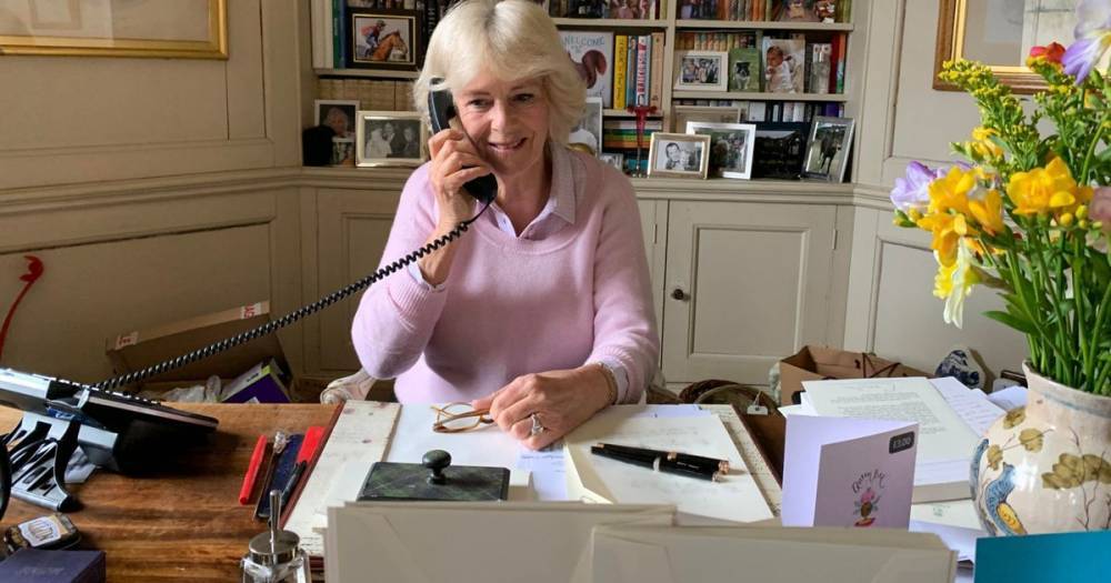 prince Charles - Royal fans spot awkward error in Camilla's working from home photo - mirror.co.uk